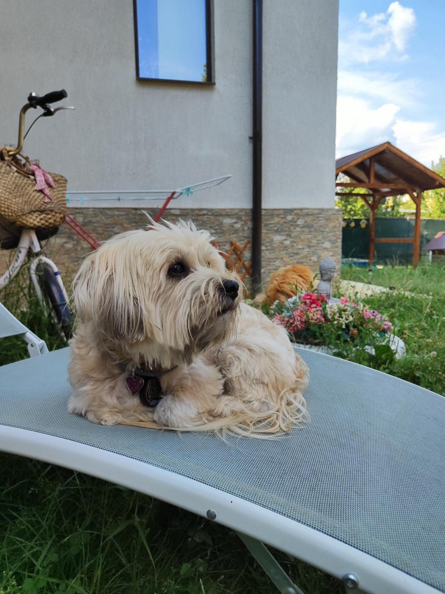 Happy Home Călimăneşti Extérieur photo